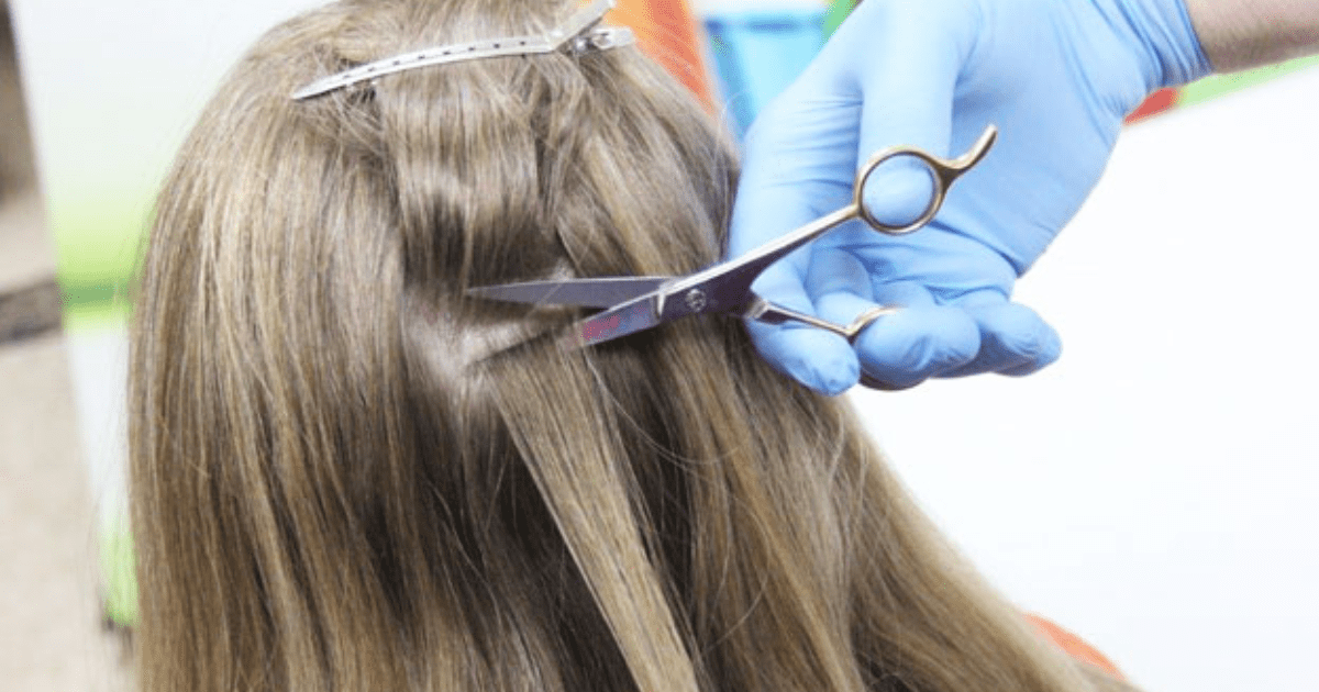 Can A Hair Follicle Test Go Back 6 Months?