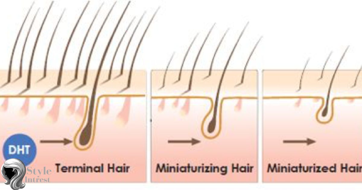 What Can Lead To The Production Of New Terminal Hairs?