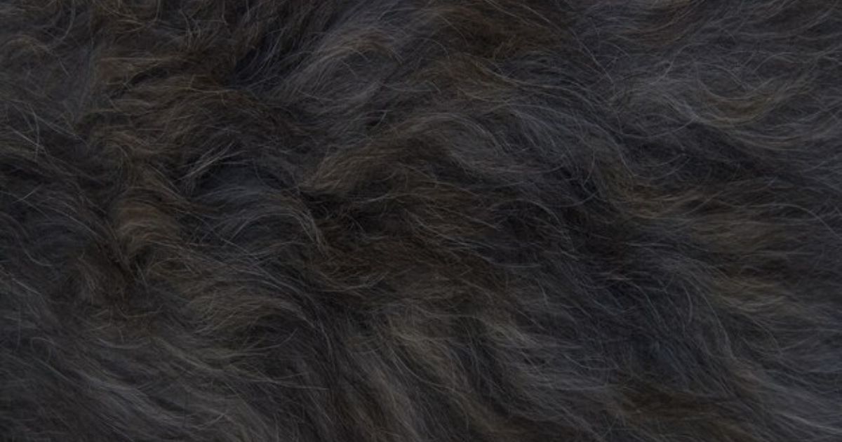 Natural Hair Texture