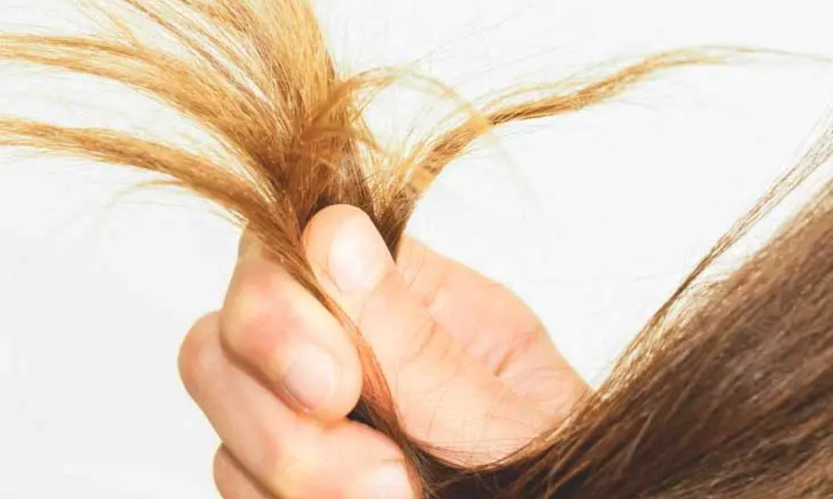 Signs of Protein Deficiency in Hair