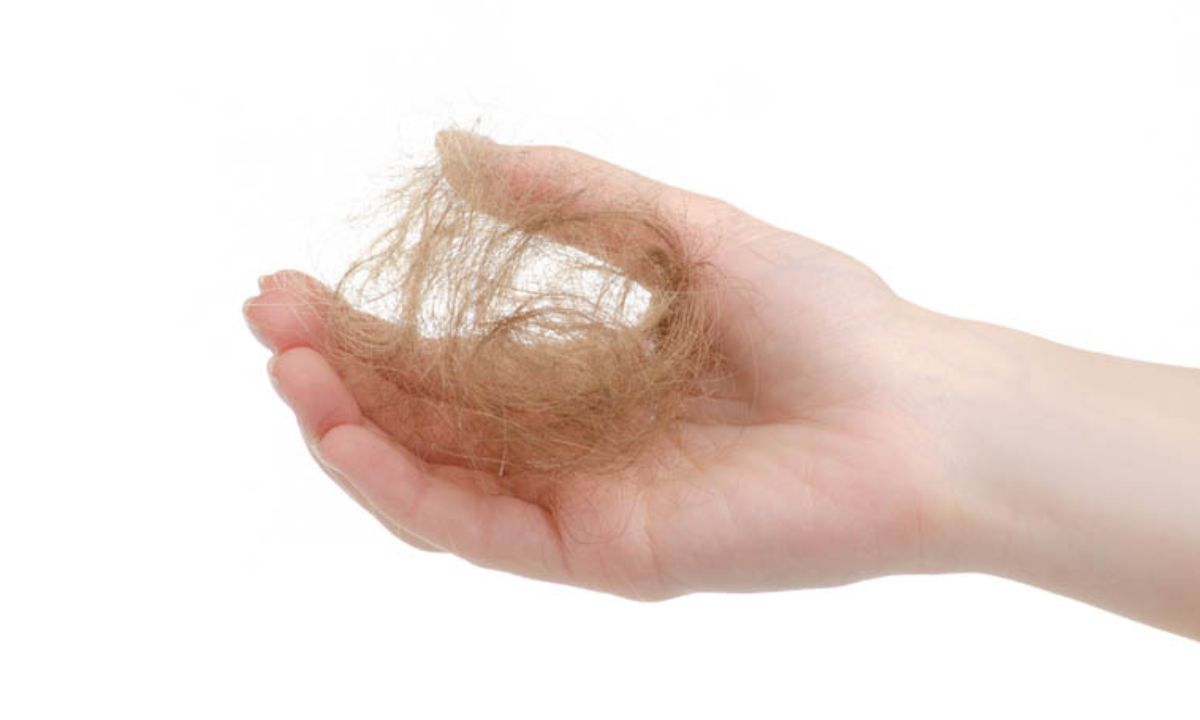 Spiritual Meaning Of Finding Hair Everywhere