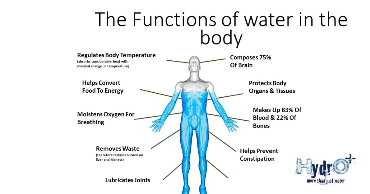 The Role of Water Temperature